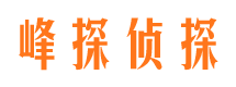 仙游市调查公司